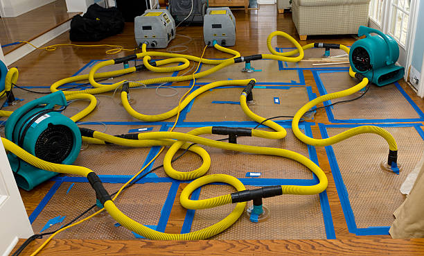 Professional Burst Pipe Water Damage technician working in Avella, PA